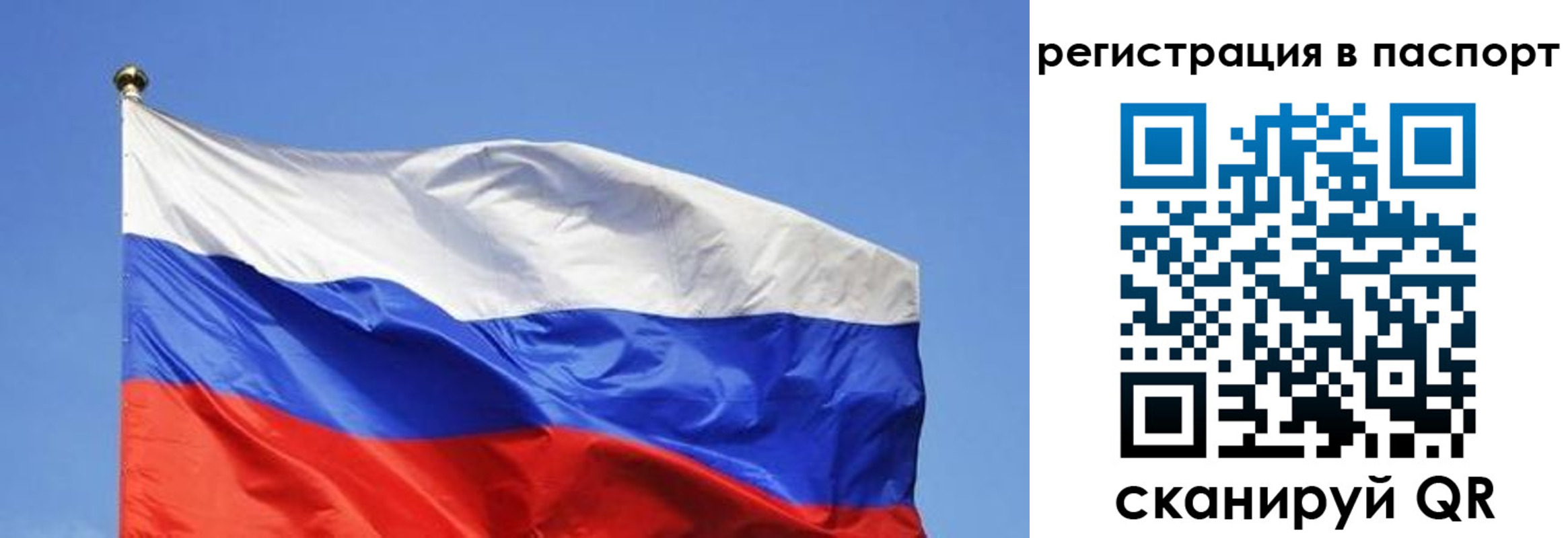 прописка в квартире в Боре